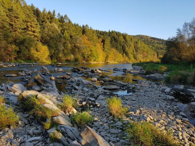 Catch & release stretch, perfect for dry fly fishing in autumn