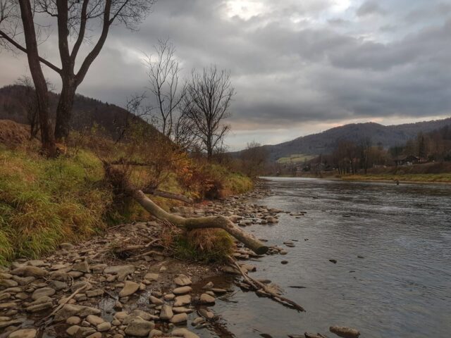 Small midges in low water can bring big fish