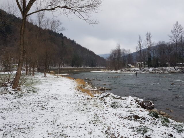 Grayling time, pocket perdigon fishing, and dry fly fishing