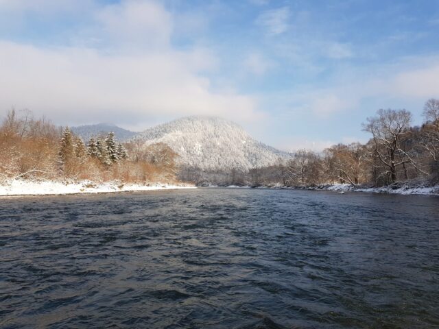 Hucho - hucho (Danube salmon - Taimen) area. Big streamer fishing