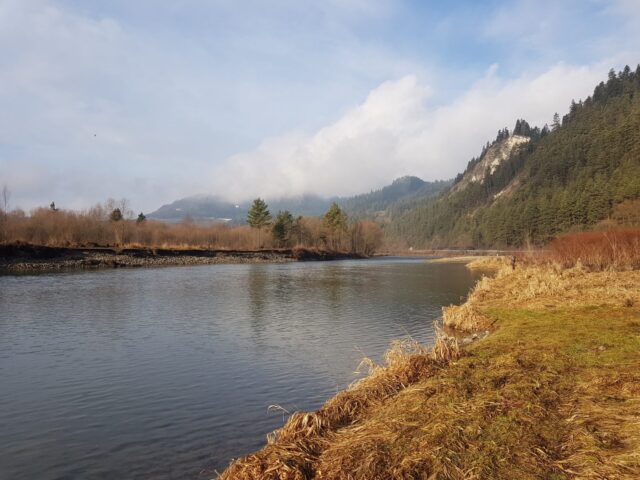 European Taimen fishing zone (Hucho-hucho)