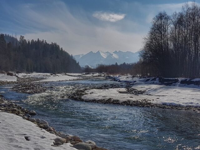 Winter fishing for grayling, perdigon flies and blue dun fishing