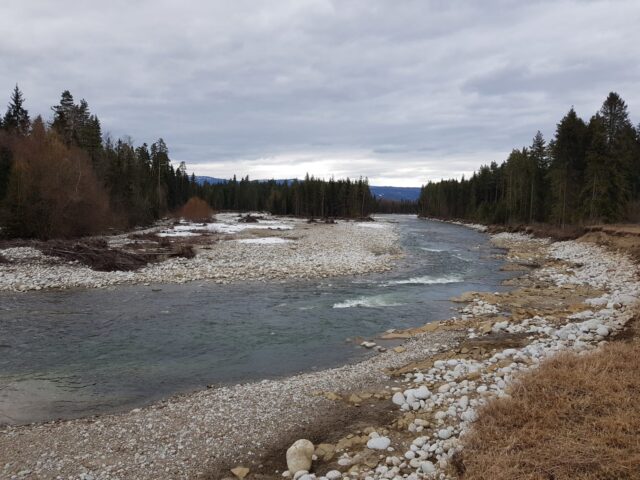 Rapids between forest wild trout and grayling area.