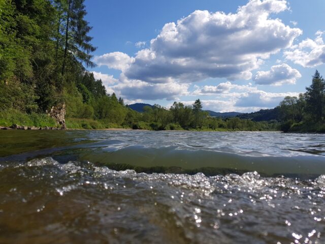 Wild area with great potential. Canion rocks on one side