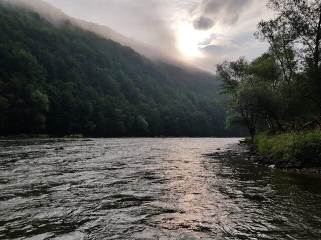 Morning wet fly fishing for trout in Poland (Eastern Europe)