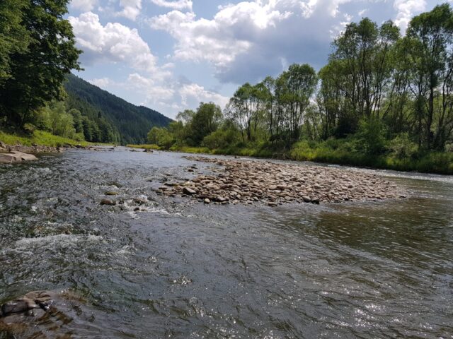 East Europe Fly Fishing Adventure - brown trout paradise