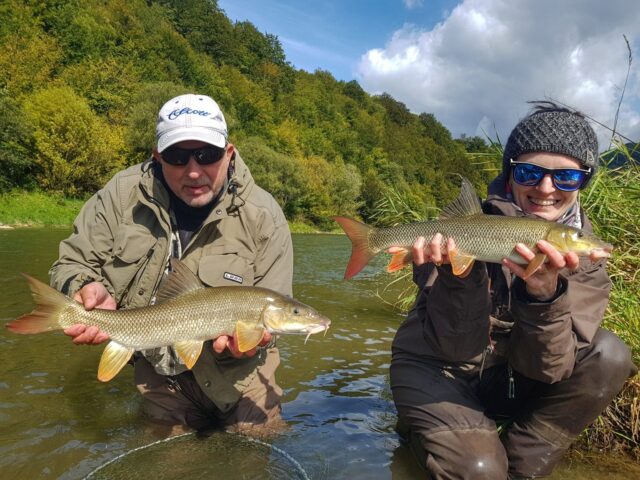 How to make good fish photo? Check this out