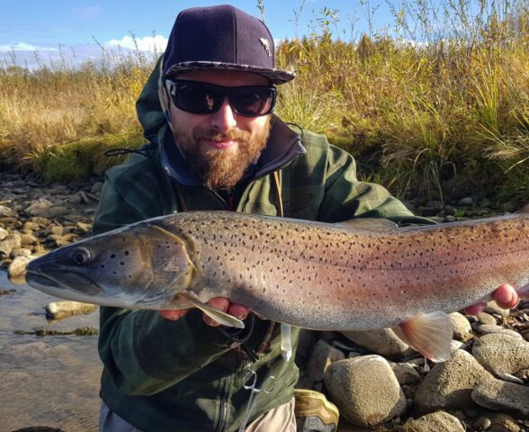 European Taimen fly fishing in Poland