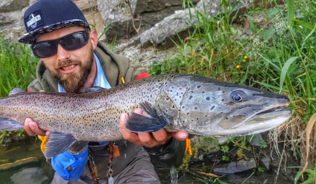 Summer Hucho fishing