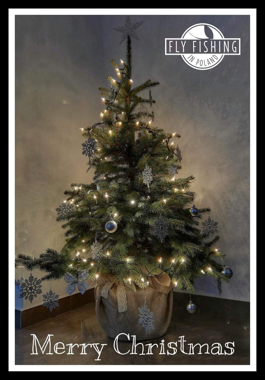 Read more about the article Christmas time…