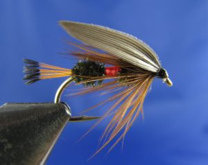 Read more about the article Step by step Royal Coachman Wet – V