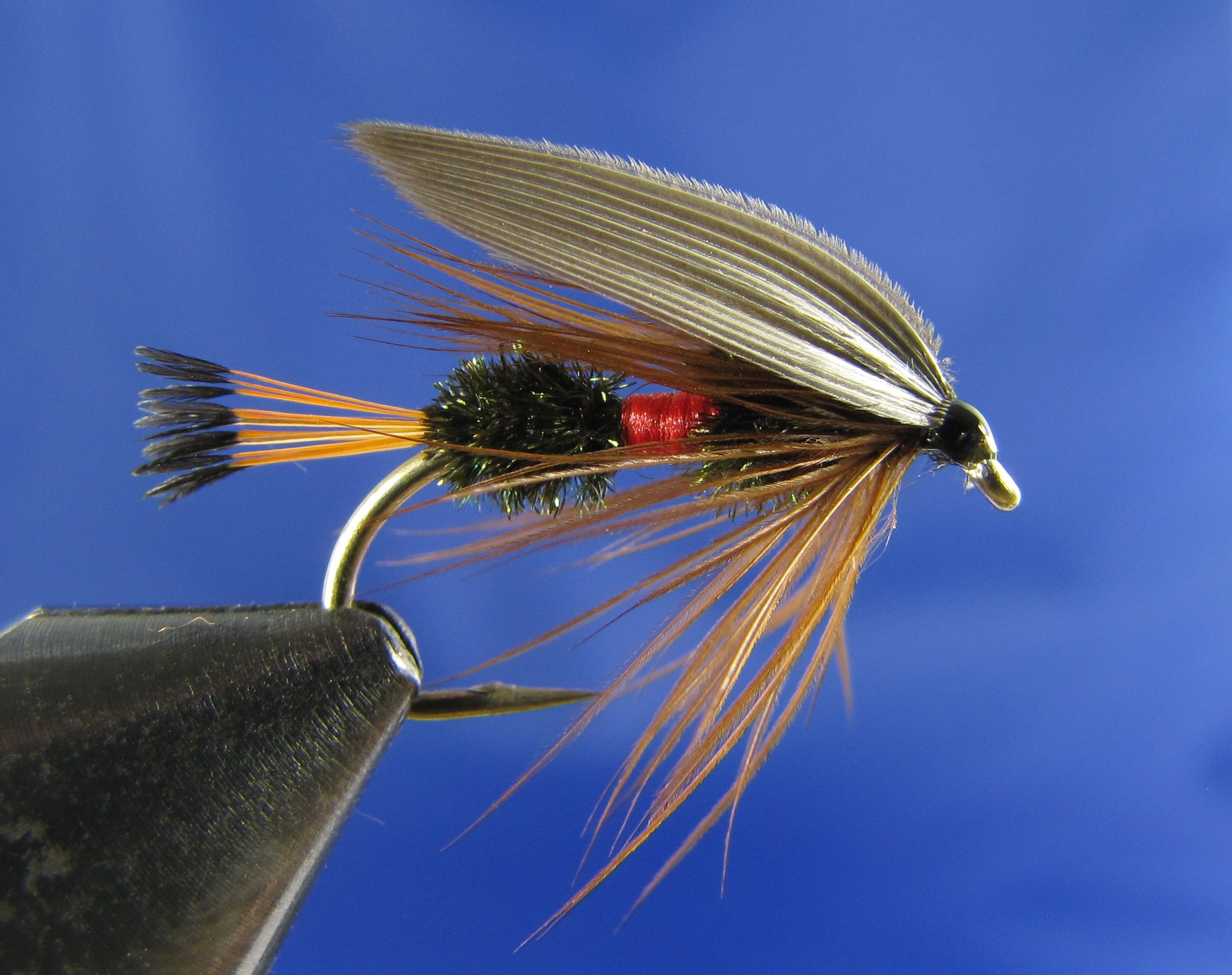 Read more about the article Step by step Royal Coachman Wet – V