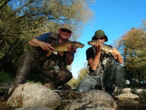 Read more about the article Belgijskie brzany cz.I