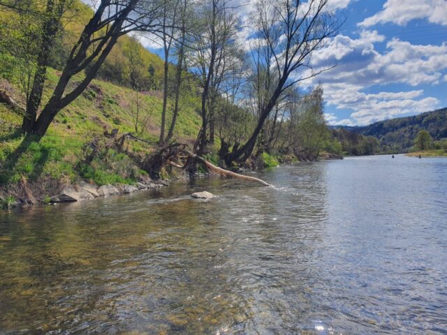 OS Dunajec w Tylmanowej