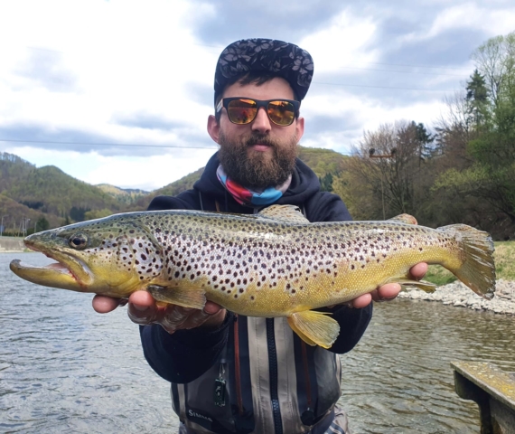 OS Dunajec - pstrąg potokowy