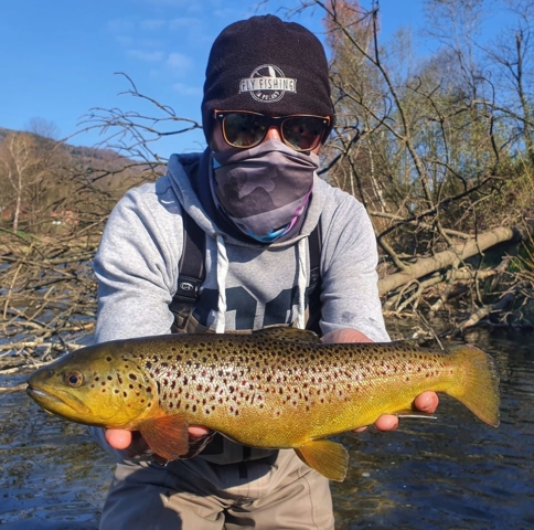 OS Dunajec- pstrąg potokowy